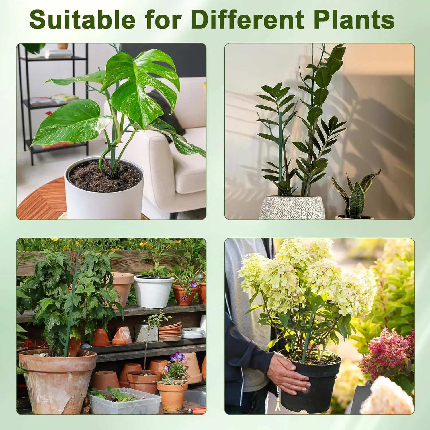 10 Pack Stackable Plant Support Stakes, Climbing Plant Support Structures for Monstera, Pothos, Philodendron Garden Plant Stakes for Indoor Outdoor Plants