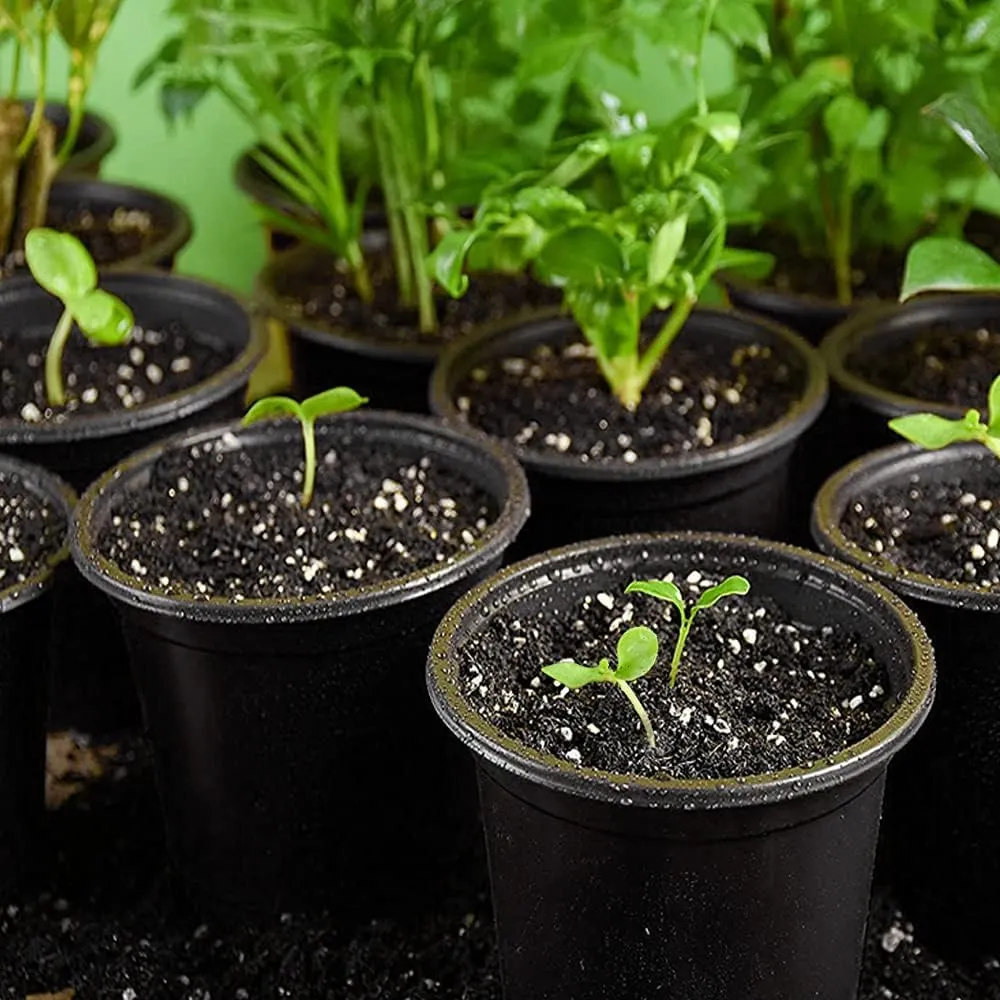 100-Pack 0.5 Gallon Flexible Plant Nursery Pots，Thickened Soft Plastic Seedling Pots,Seed Starting Pot Flower Plant Container for Succulents, Seedlings, Cuttings, Transplanting(Black)