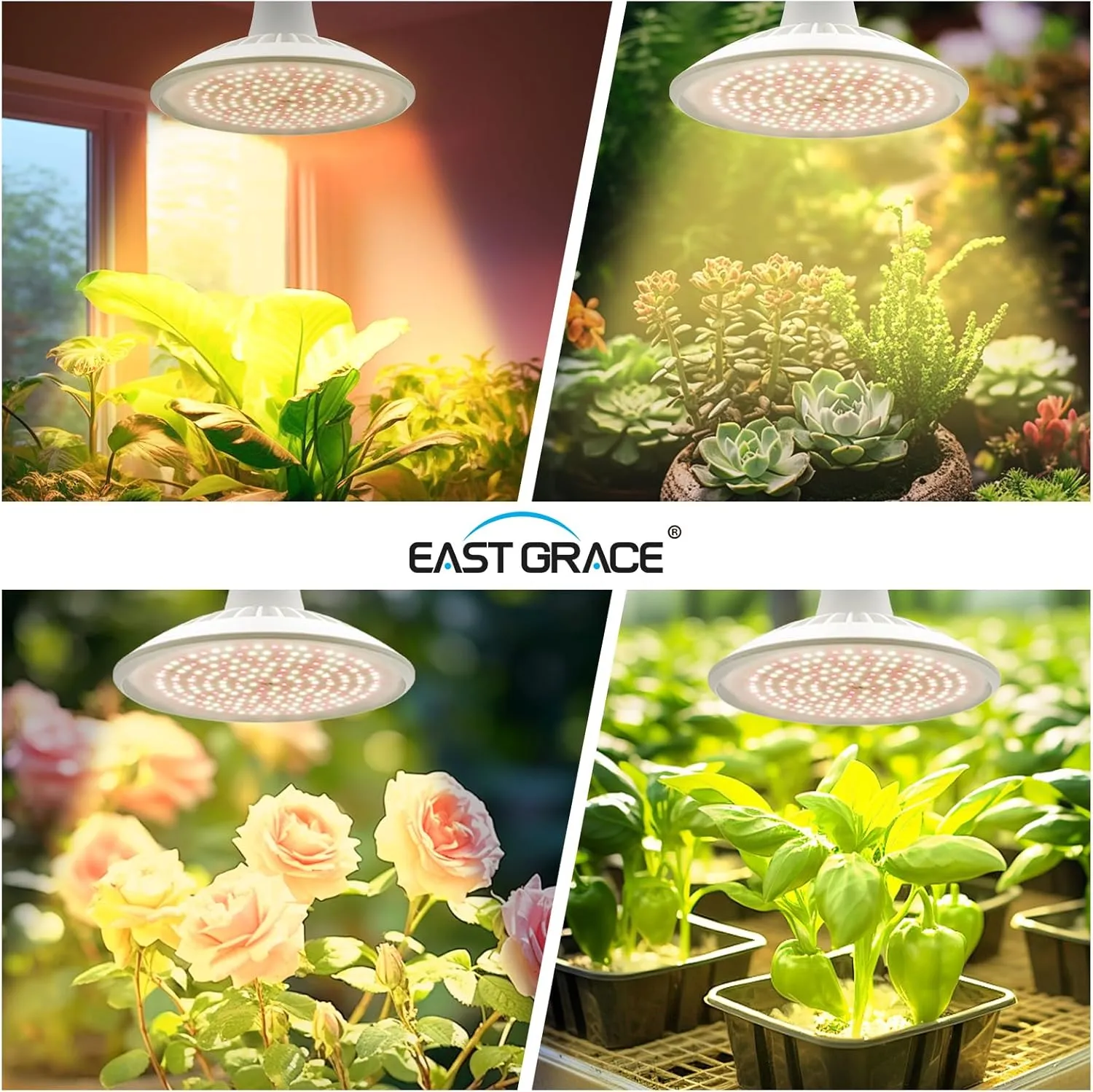 15W Hanging Plant Lights for Indoors led Grow Light Hanging Corner Hanging Plant Light PPFD Energy Saving for Greens Plant Grow Light Hanging 4000K Grow Lights for Indoor Plants