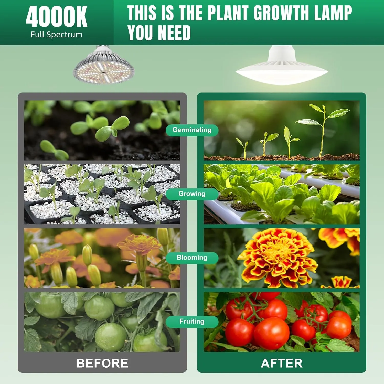 15W Hanging Plant Lights for Indoors led Grow Light Hanging Corner Hanging Plant Light PPFD Energy Saving for Greens Plant Grow Light Hanging 4000K Grow Lights for Indoor Plants