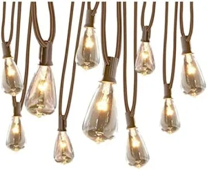 allen   roth 13-ft 10-Light White Plug-in Bulbs String Lights
