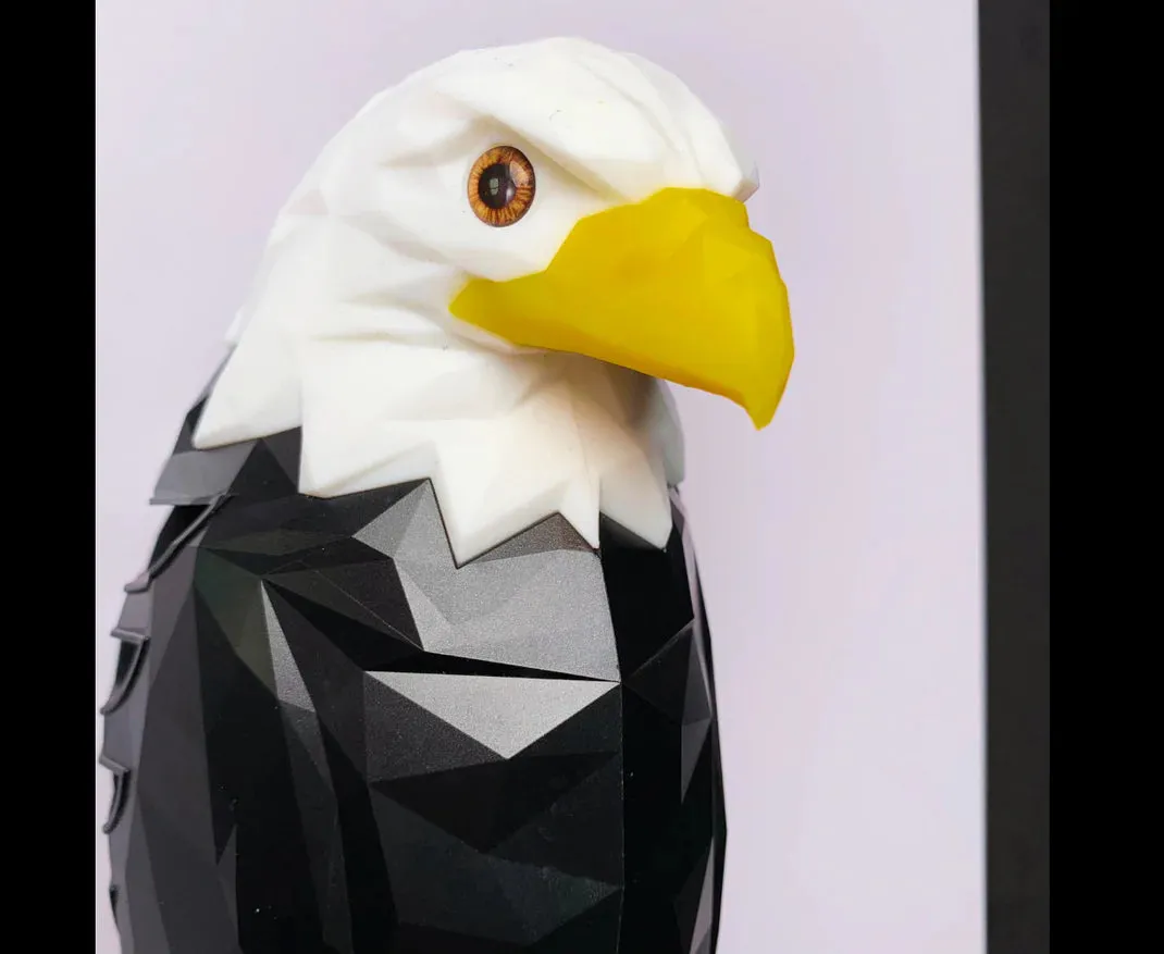 American Eagle Rechargeable Wall Lamp 2025