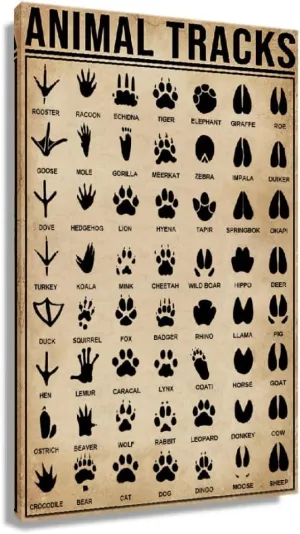 Animal Tracks Poster Framed Wall Decor Vintage Educational Wall Art Of Knowledge Chart Poster Painting For Living Room Artwork Modern Canvas Prints Picture Framed (12x18 inch)