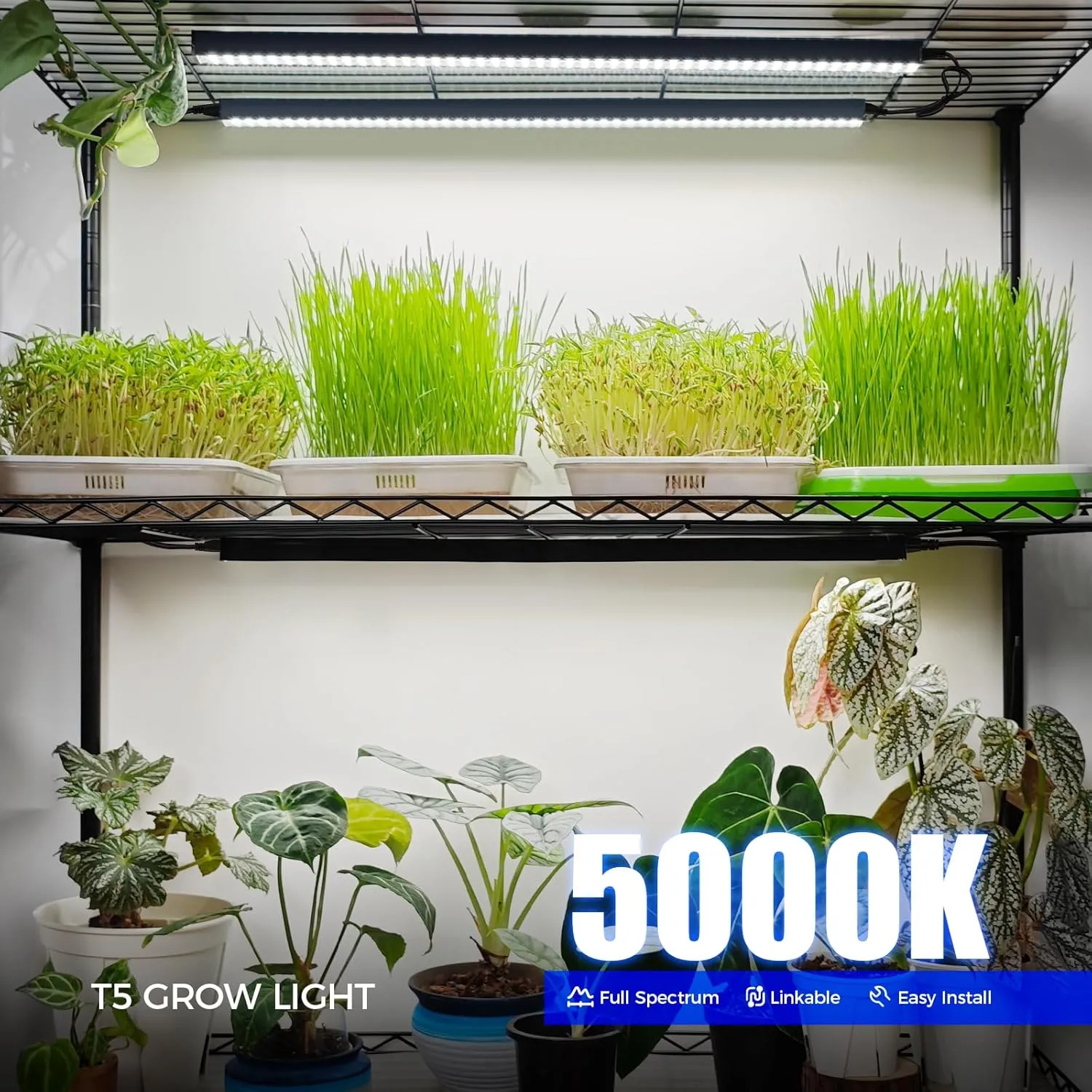 Barrina T5 Grow Lights for Indoor Plants, 2FT 20W (2 X 10W) Plant Grow Lights Indoor with Magnetic Bar, Linkable Plant Growing Lamps with Black Cover, Plug and Play, 5000K, 2 Packs