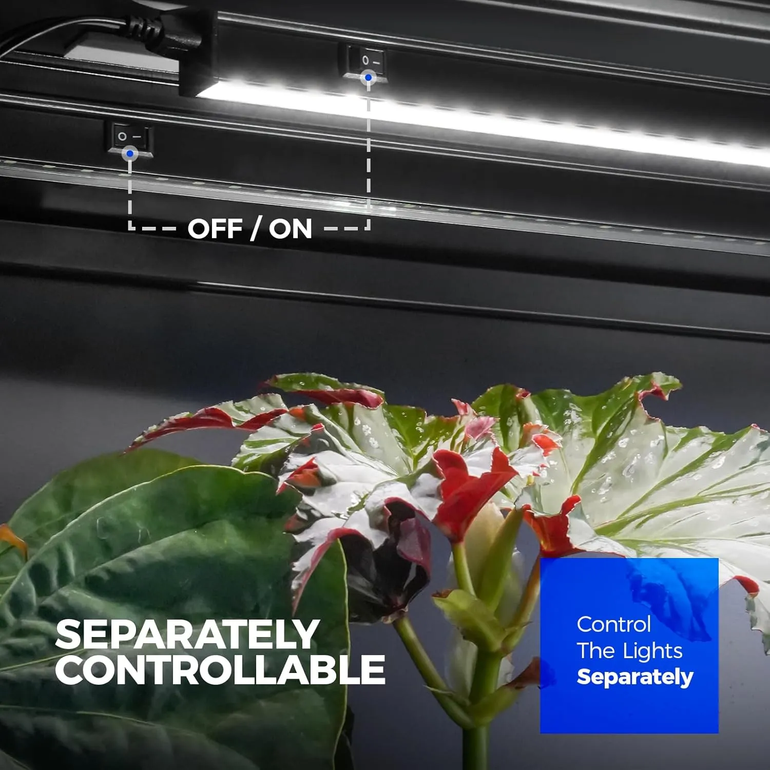 Barrina T5 Plant Lights for Indoor Growing, 3FT 128W (8 X 16W) Led Grow Light with Magnetic Design, Full Spectrum Grow Light Strip with Black Cover, Plug and Play, 5000K, 8 Packs