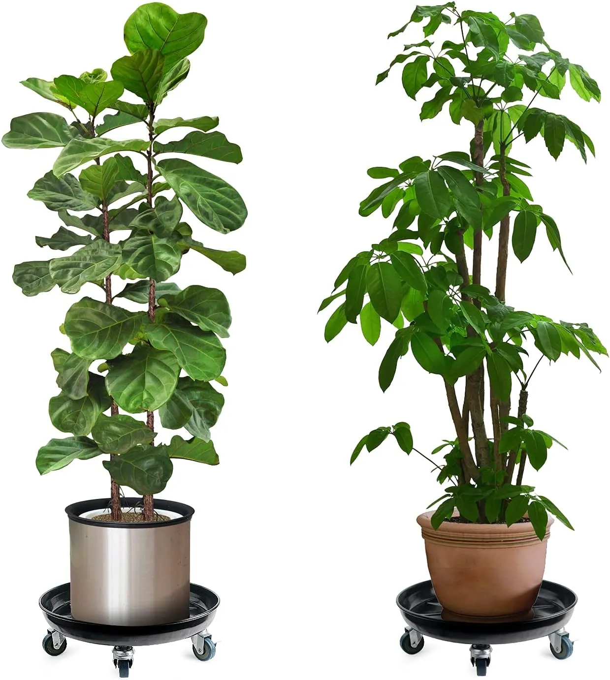 Choclaif Plant Caddy with Wheels,3 Pack Black Heavy Duty Plant Stand with Universal Wheels,Round Pot Trolley for Indoor Outdoor (14.48)