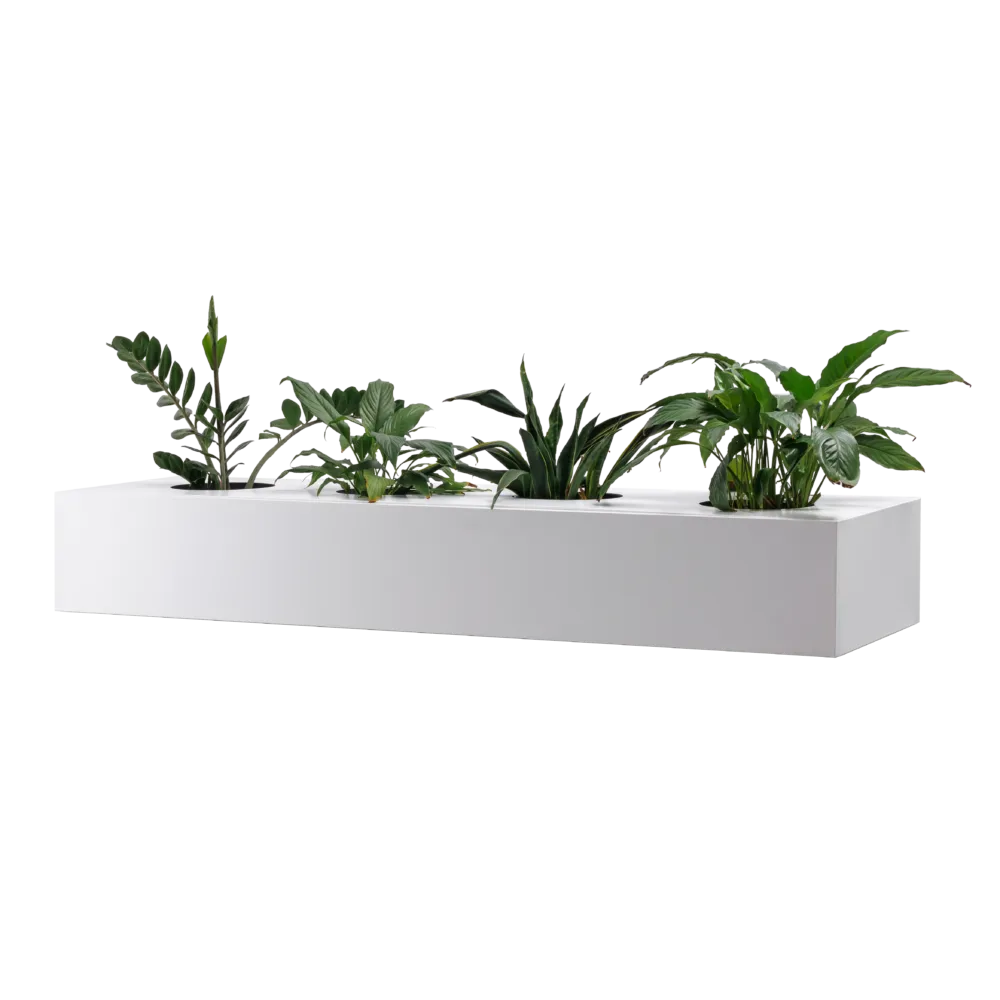 Cupboard Planter box for Perforated Cupboard