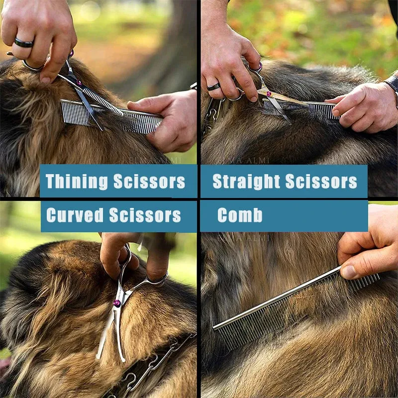 Dog Hair Cutting Shears Safety Round Tip Pet Grooming Scissors Kit