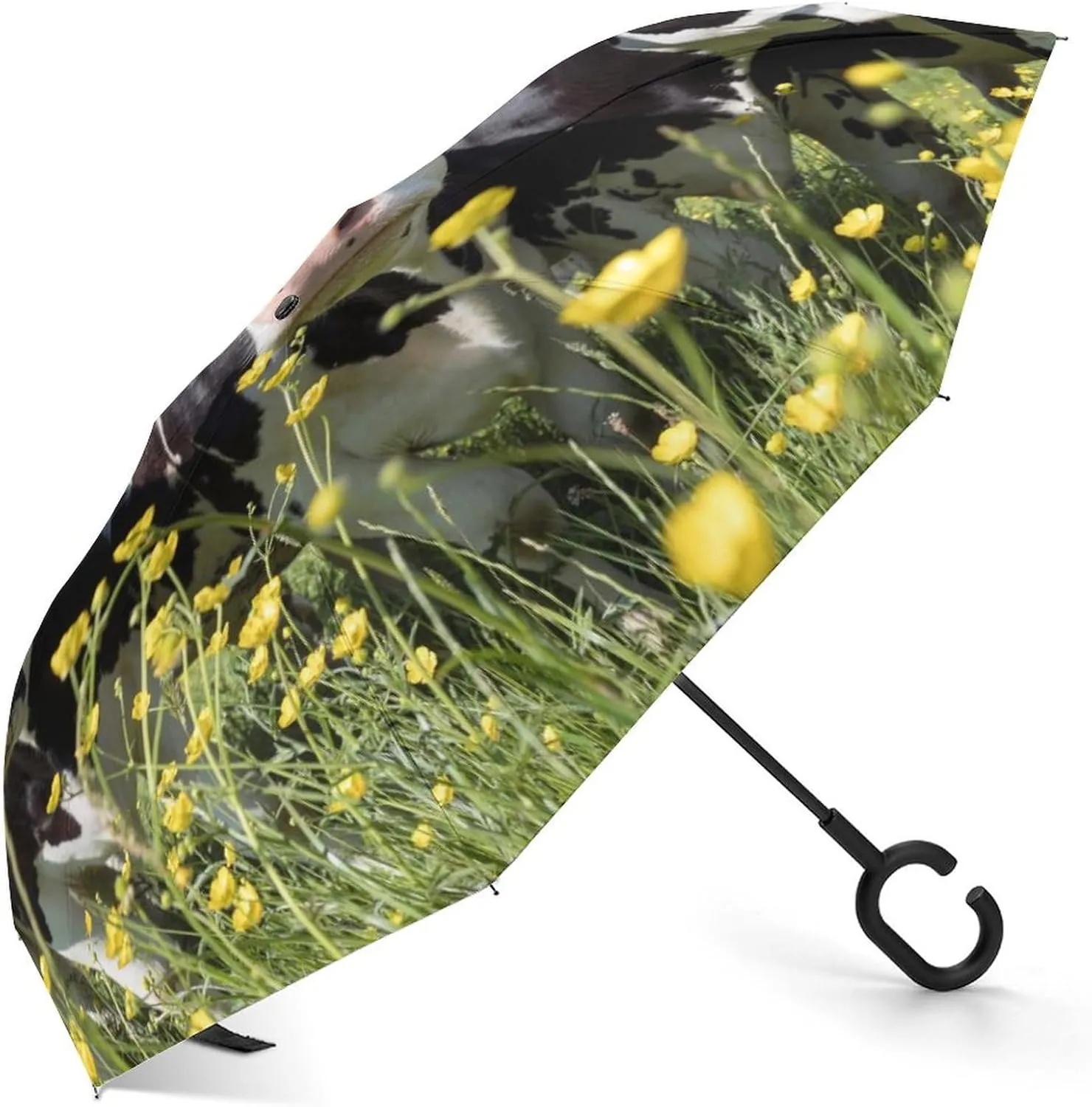 Donnapink Auto Large Inverted Rain Umbrella, Automatic Open/Close Reverse Car Umbrella Sun Protect UV Winds Rain Compact Parasol