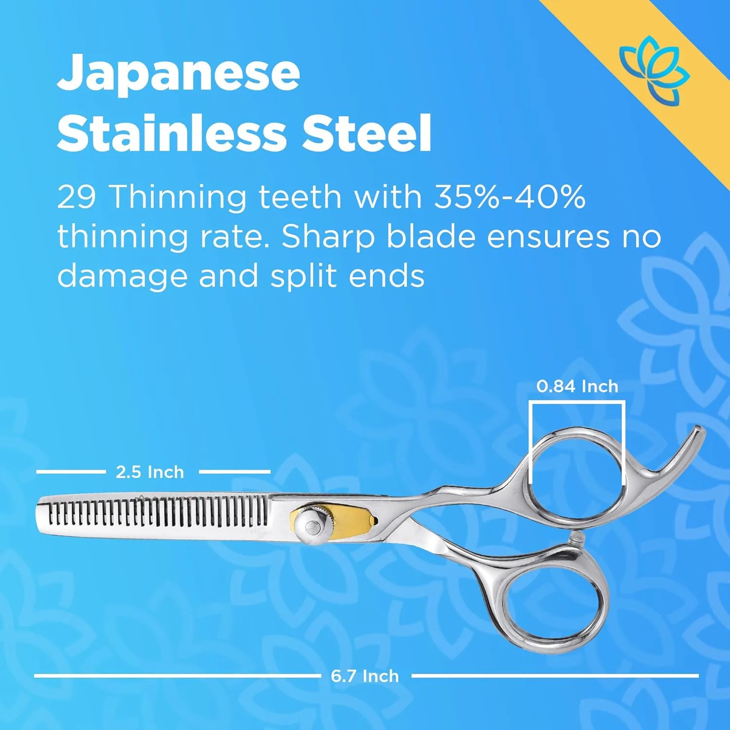 Equinox Professional Hair Scissors Set - Premium Essential Kit, Includes Hair Cutting Scissors, Thinning Shears, Straight Razor, Basic Comb, Cleaning Cloth, & Sandpaper - Hair Salon & Barber Supplies