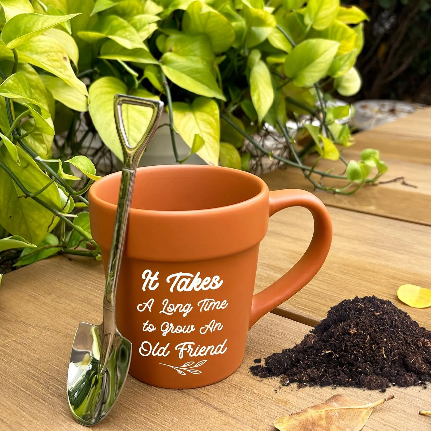 Friend Gifts For Women Birthday, Christmas Gifts for Friends, Friendship Gift for Best Friend Women, Funny Novelty Friend Plant Mug for BFF Old Friends