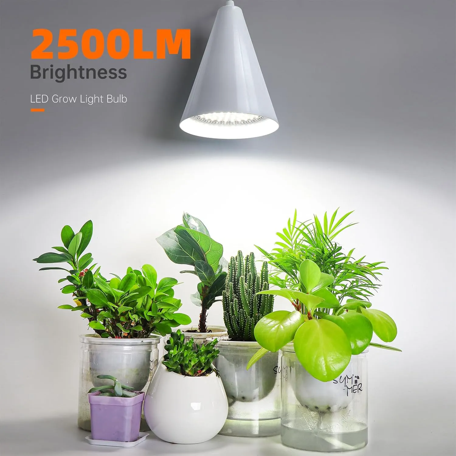 Hanging Grow Light, 25W Full Spectrum Plant Lights for Indoor Plants, 16.4FT Power Cord, 5000K with Timer Function