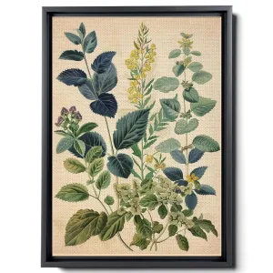 Leaf And Flower Illustration, In Light White And Light Indigo Style, Graflex Speed Graphics, Light Blue And Light Beige, Scientific Illustration, Decor Canvas