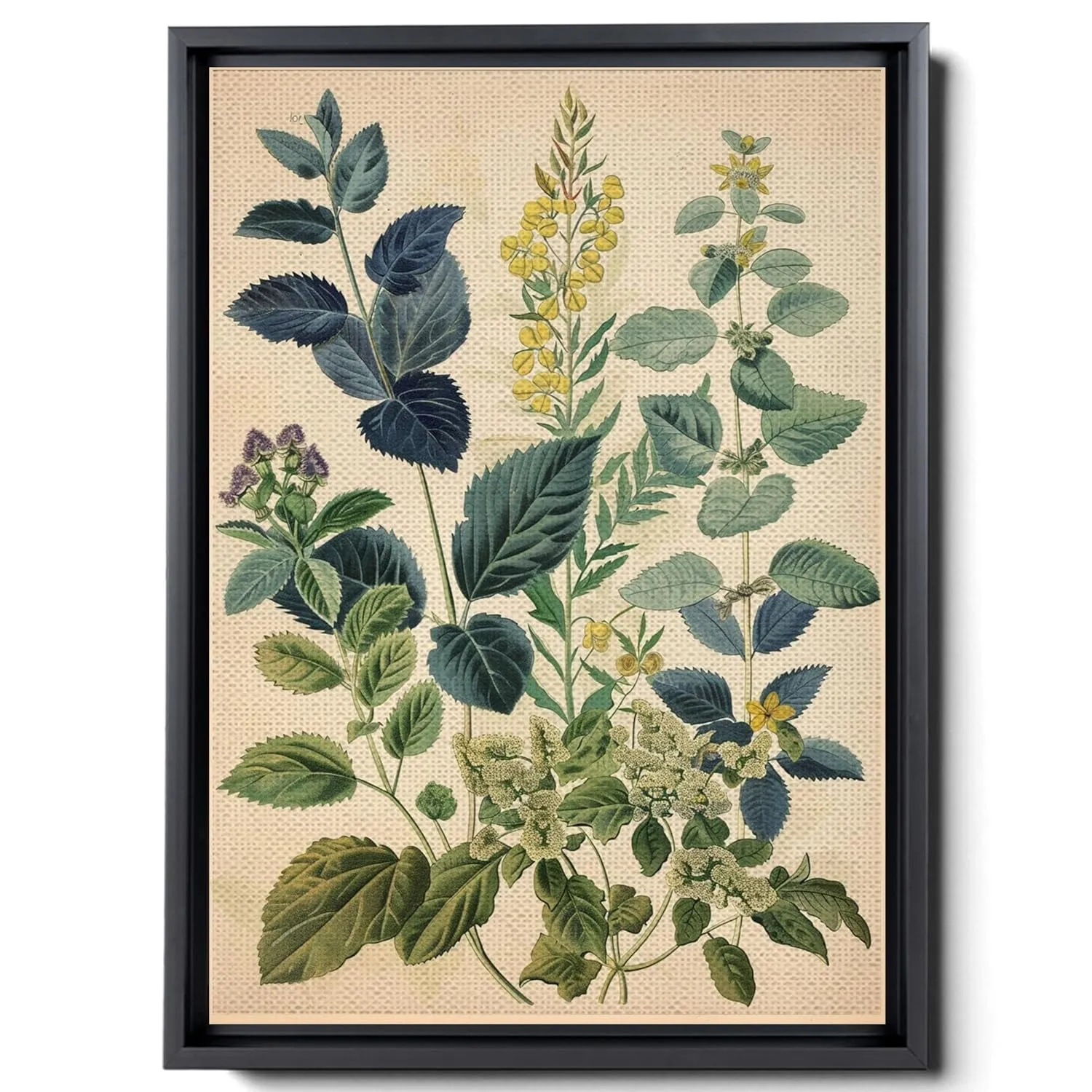 Leaf And Flower Illustration, In Light White And Light Indigo Style, Graflex Speed Graphics, Light Blue And Light Beige, Scientific Illustration, Decor Canvas