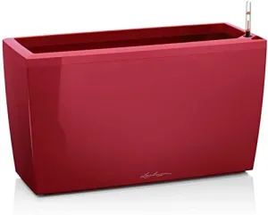 Lechuza CARARO 75 Self Watering Planter Large Garden Flower Plant Pot Indoor/Outdoor Floor Planter with Drainage Hole and Plant Substrate Poly Resin H43 L75 W30 cm Scarlet Red High-Gloss