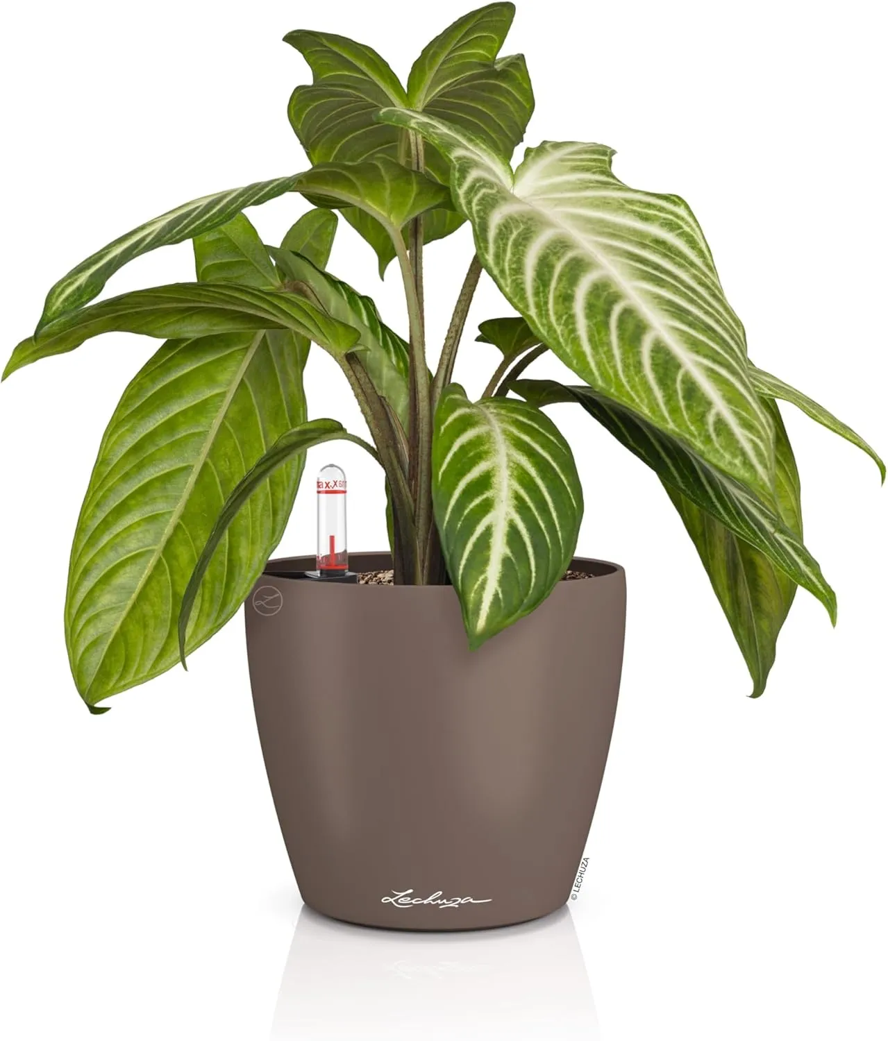 Lechuza Classico Color 14 Table Pot Nutmeg, Planter with Watering System, Water Level Indicator and Plant Insert, Matte Surface, Diameter 15 x 13.5 cm, 16698