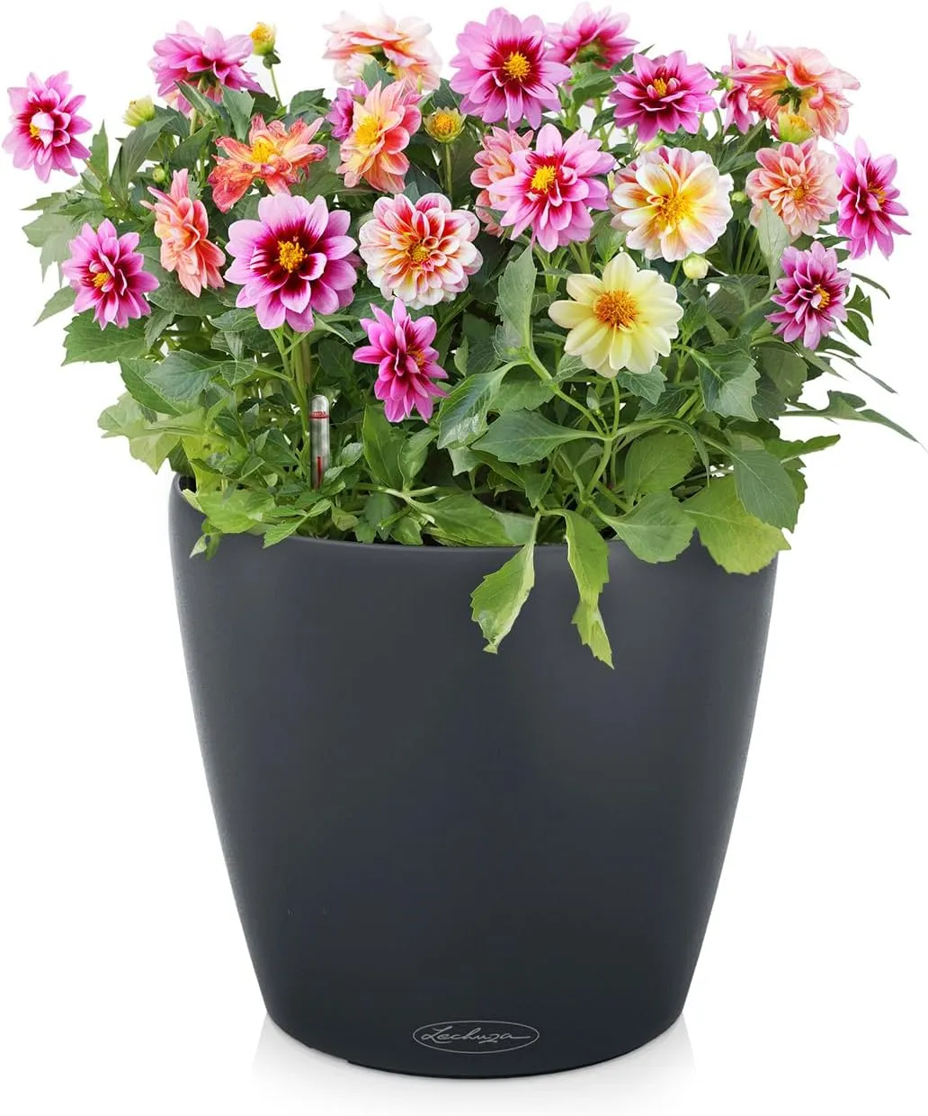 Lechuza Classico Color 18 Garden Small Flower Plant Pot Indoor Outdoor Table Plastic Planter with Drainage Hole D19 H17 cm Slate