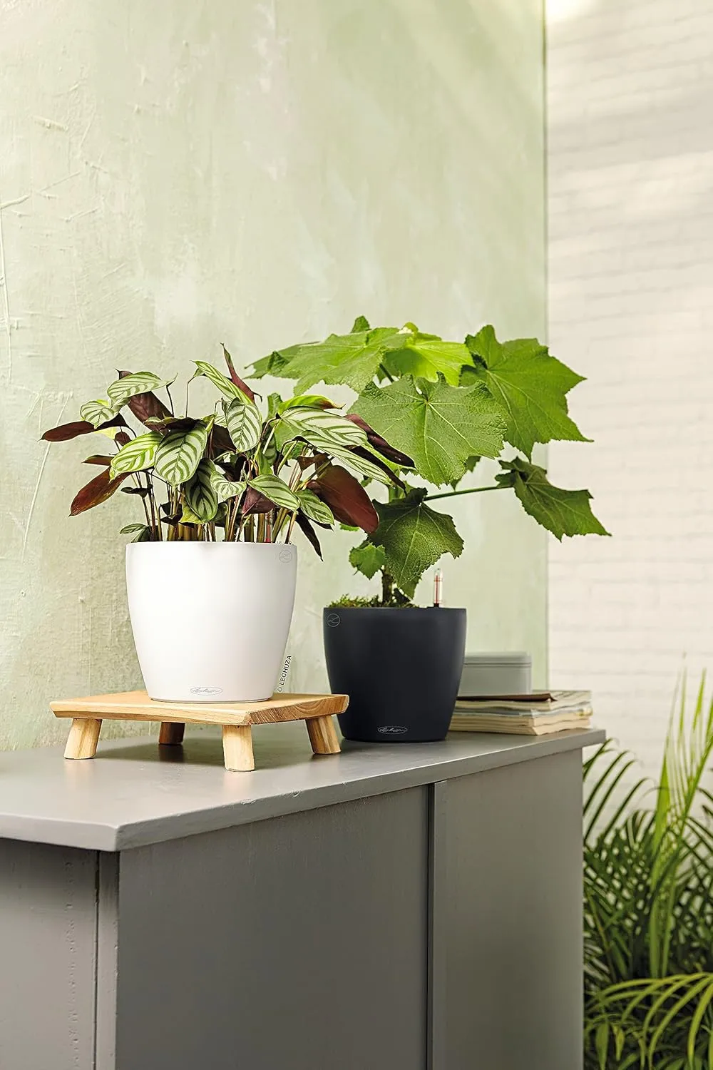 Lechuza Classico Color 18 Garden Small Flower Plant Pot Indoor Outdoor Table Plastic Planter with Drainage Hole D19 H17 cm Slate