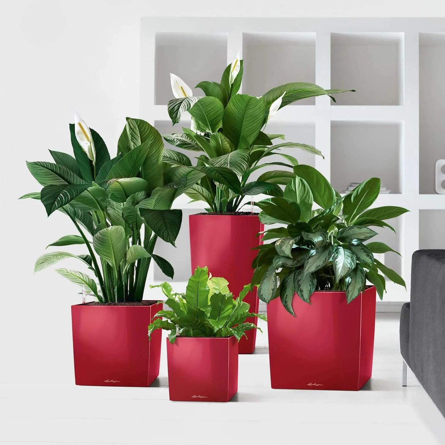 Lechuza Cube 40 Self Watering Planter Garden Flower Plant Pot Indoor/Outdoor Floor Planter with Drainage Hole & Plant Substrate Poly Resin H40 L40 W40 cm Shiny Taupe, 16365