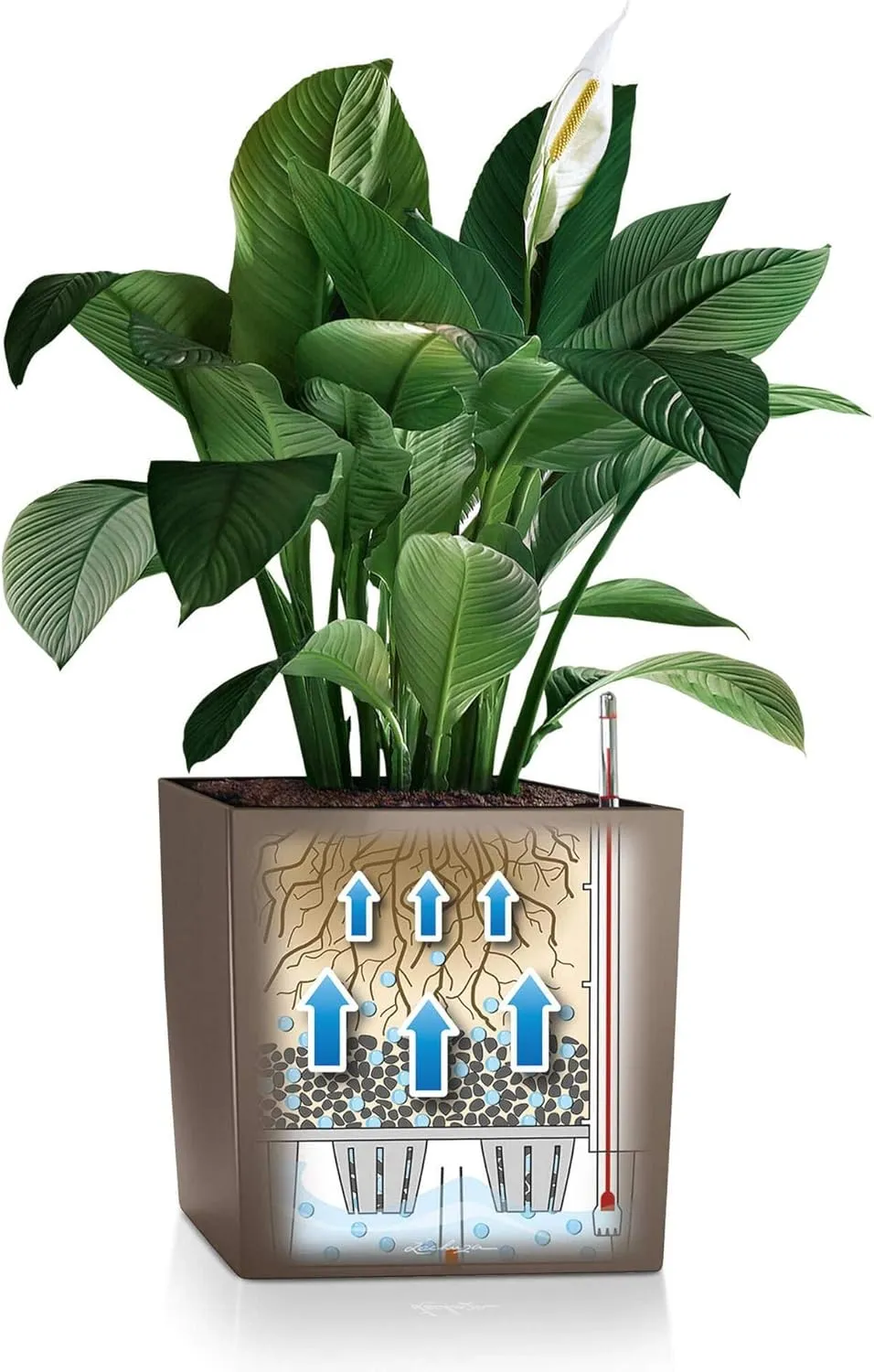 Lechuza Cube 40 Self Watering Planter Garden Flower Plant Pot Indoor/Outdoor Floor Planter with Drainage Hole & Plant Substrate Poly Resin H40 L40 W40 cm Shiny Taupe, 16365