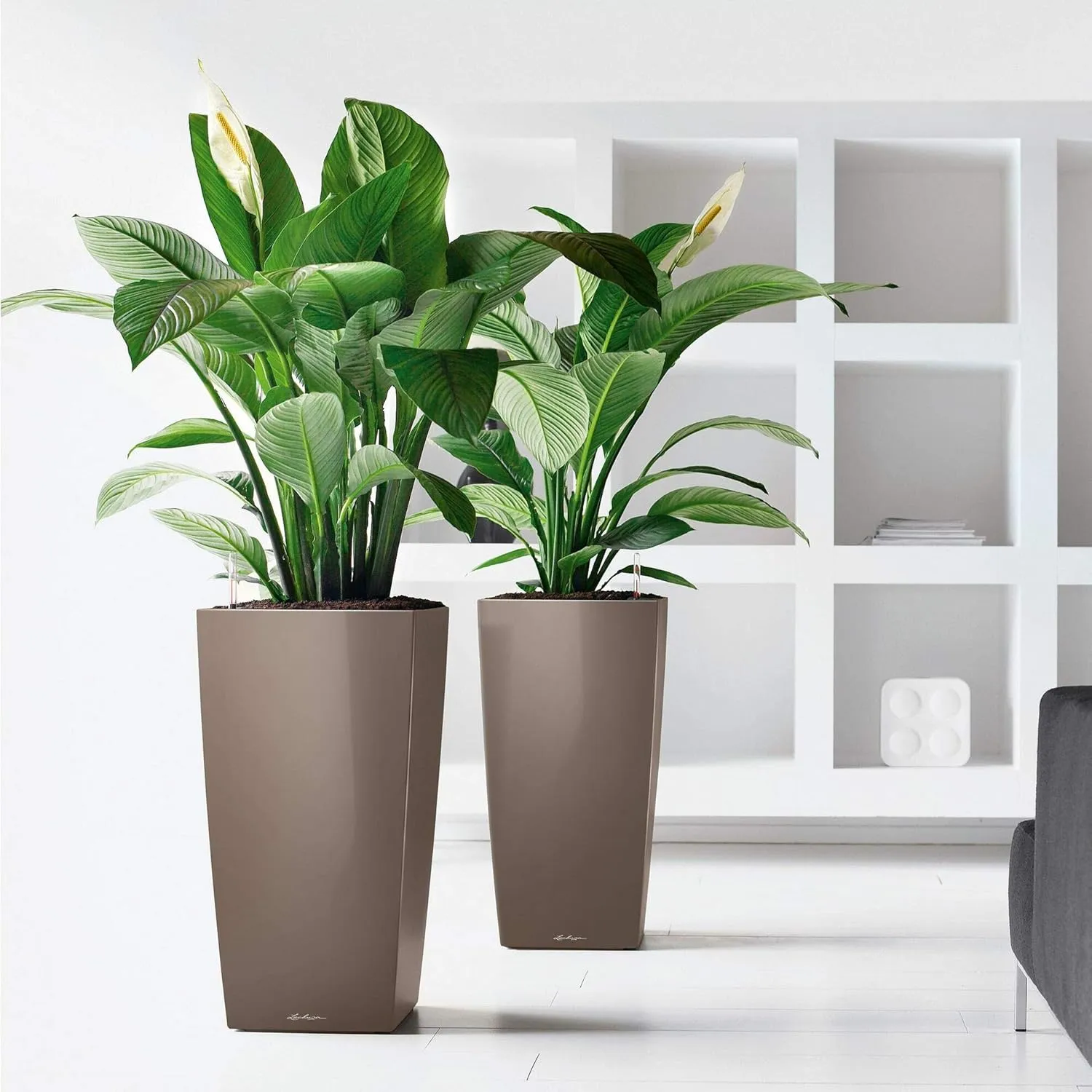 Lechuza CUBICO 50 Self Watering Planter Large Garden Flower Plant Pot Indoor/Outdoor Floor Planter with Drainage Hole and Plant Substrate Poly Resin H95 L50 W50 cm White High-Gloss