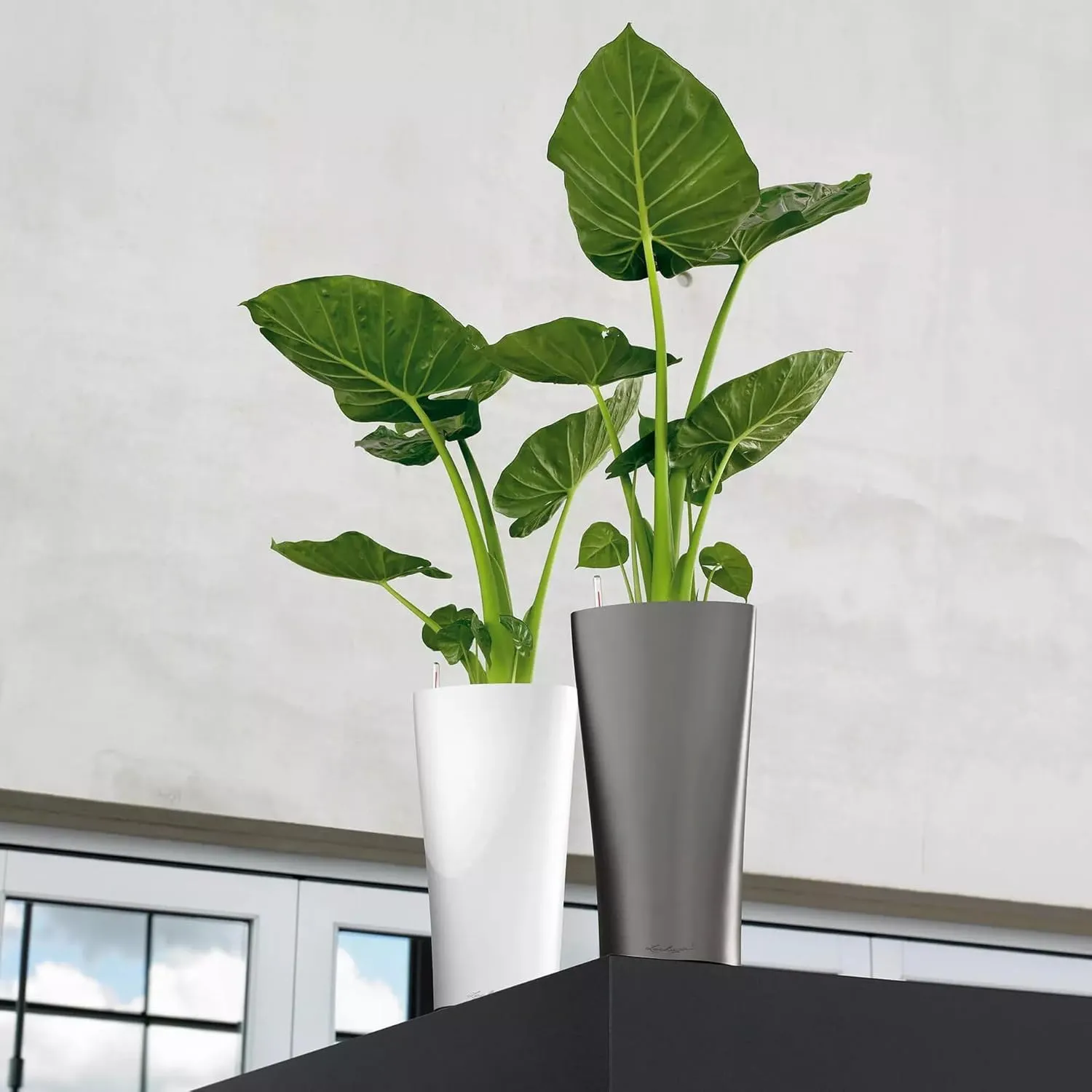 Lechuza Delta 40 Self Watering Planter Large Garden Flower Plant Pot Indoor/Outdoor Floor with Planter Drainage Hole and Plant Substrate Poly Resin D40 H75 cm Charcoal Metallic
