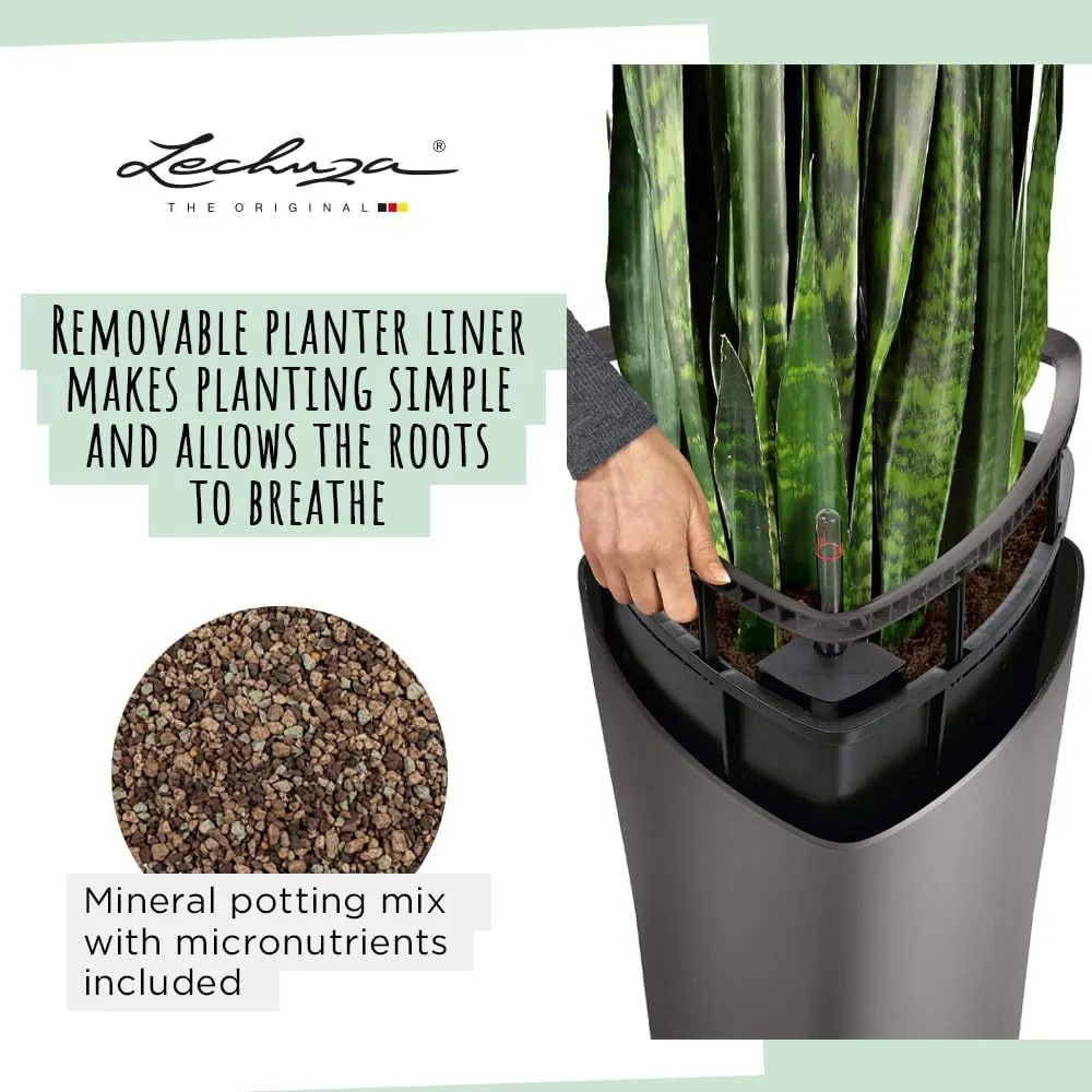 Lechuza Delta 40 Self Watering Planter Large Garden Flower Plant Pot Indoor/Outdoor Floor with Planter Drainage Hole and Plant Substrate Poly Resin D40 H75 cm Charcoal Metallic