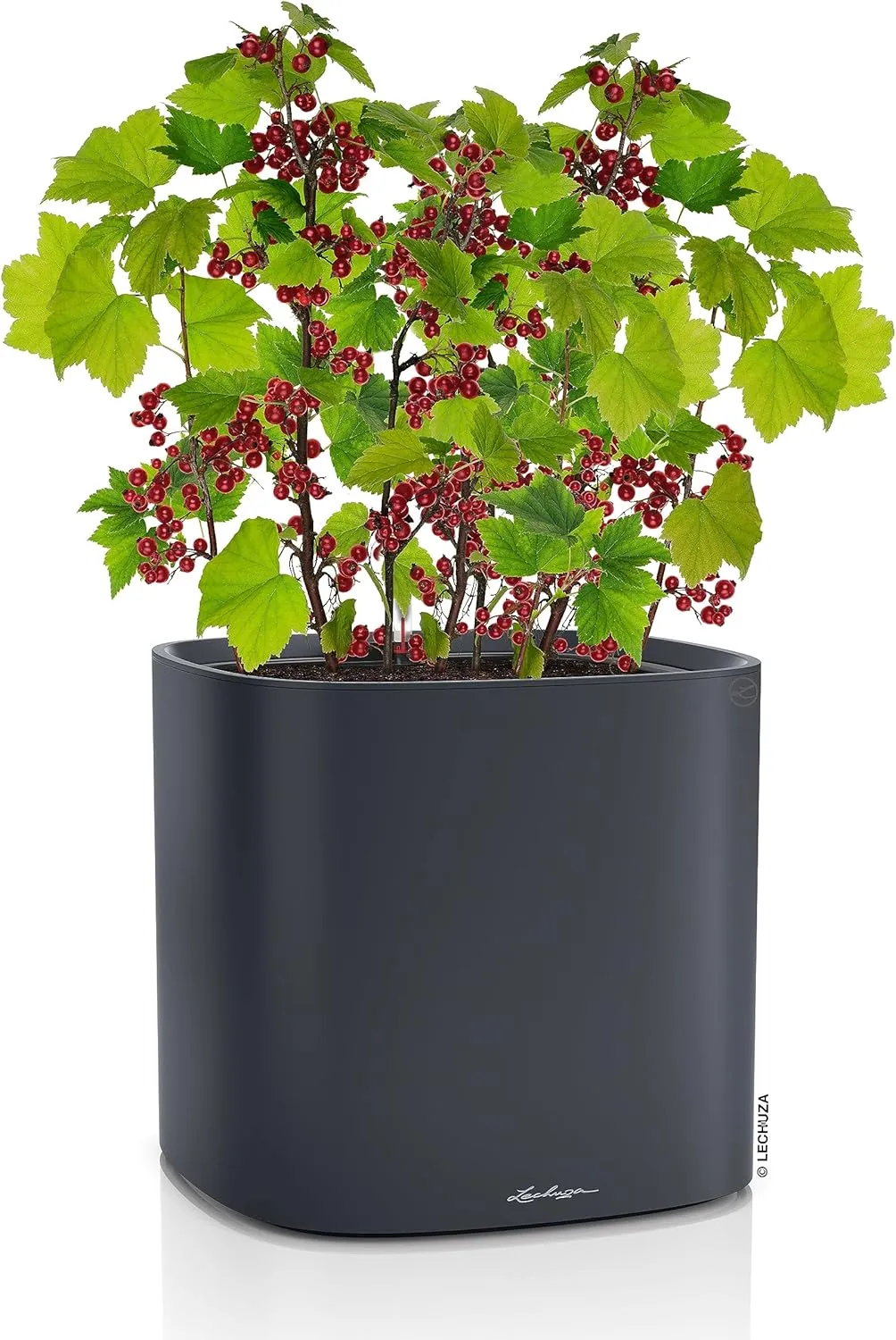 Lechuza PILA Color 35 Self Watering Planter Garden Flower Plant Pot Plastic Indoor/Outdoor Floor Planter with Drainage Hole L35 W35 H33 cm Slate