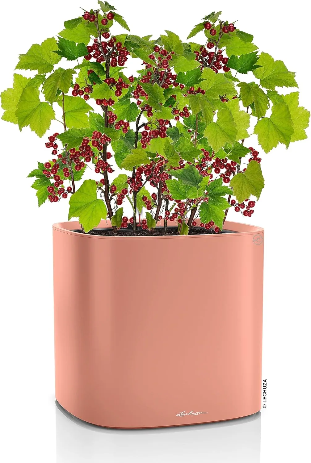 LECHUZA PILA Color Planter coral red 15908