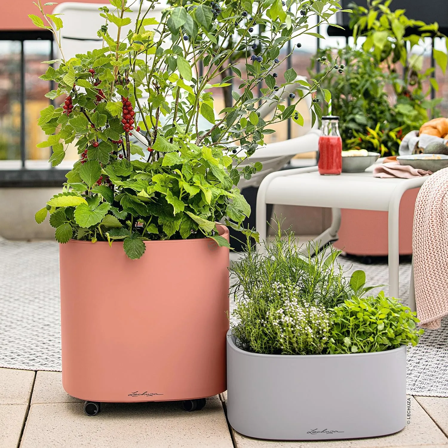 LECHUZA PILA Color Planter coral red 15908