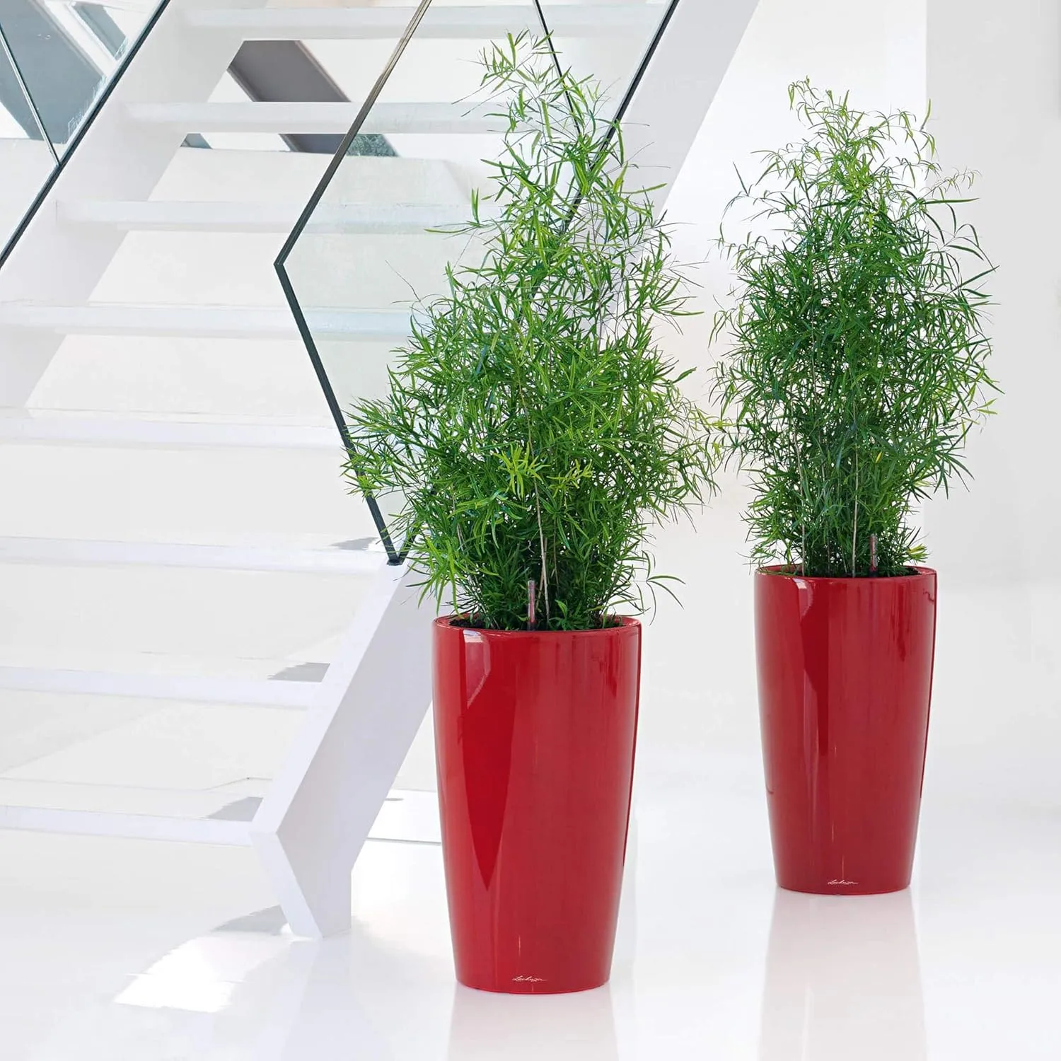 Lechuza Rondo 32 Self Watering Planter Large Garden Flower Plant Pot Indoor Outdoor Plastic Planter with Drainage Hole D32 H56 cm Red High-Gloss