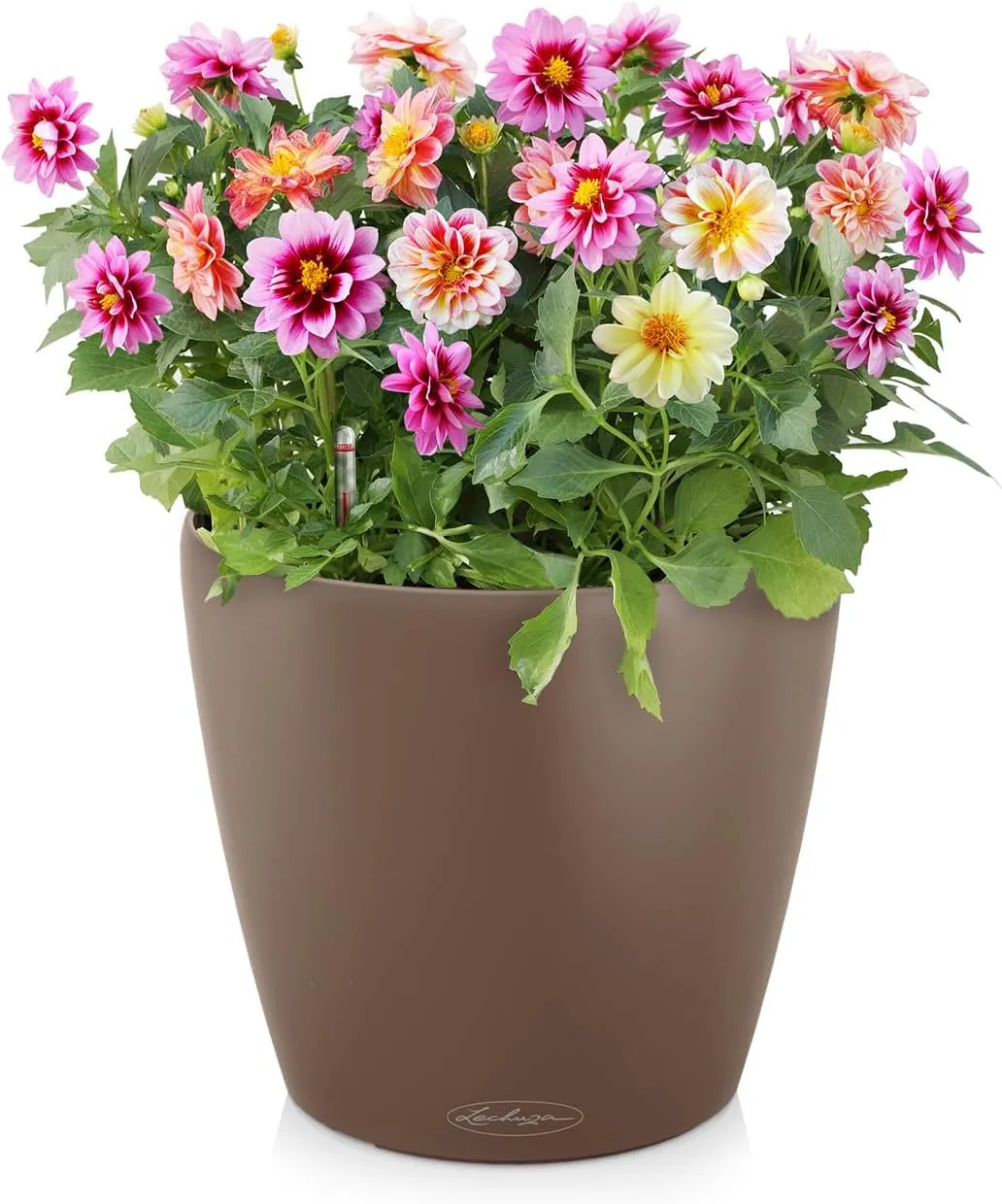 Lechuza Self Watering Plant Pot Classico Color 18 Garden Small Flower Indoor Outdoor Table Plastic Planter with Drainage Hole D19 H17 cm Nutmeg