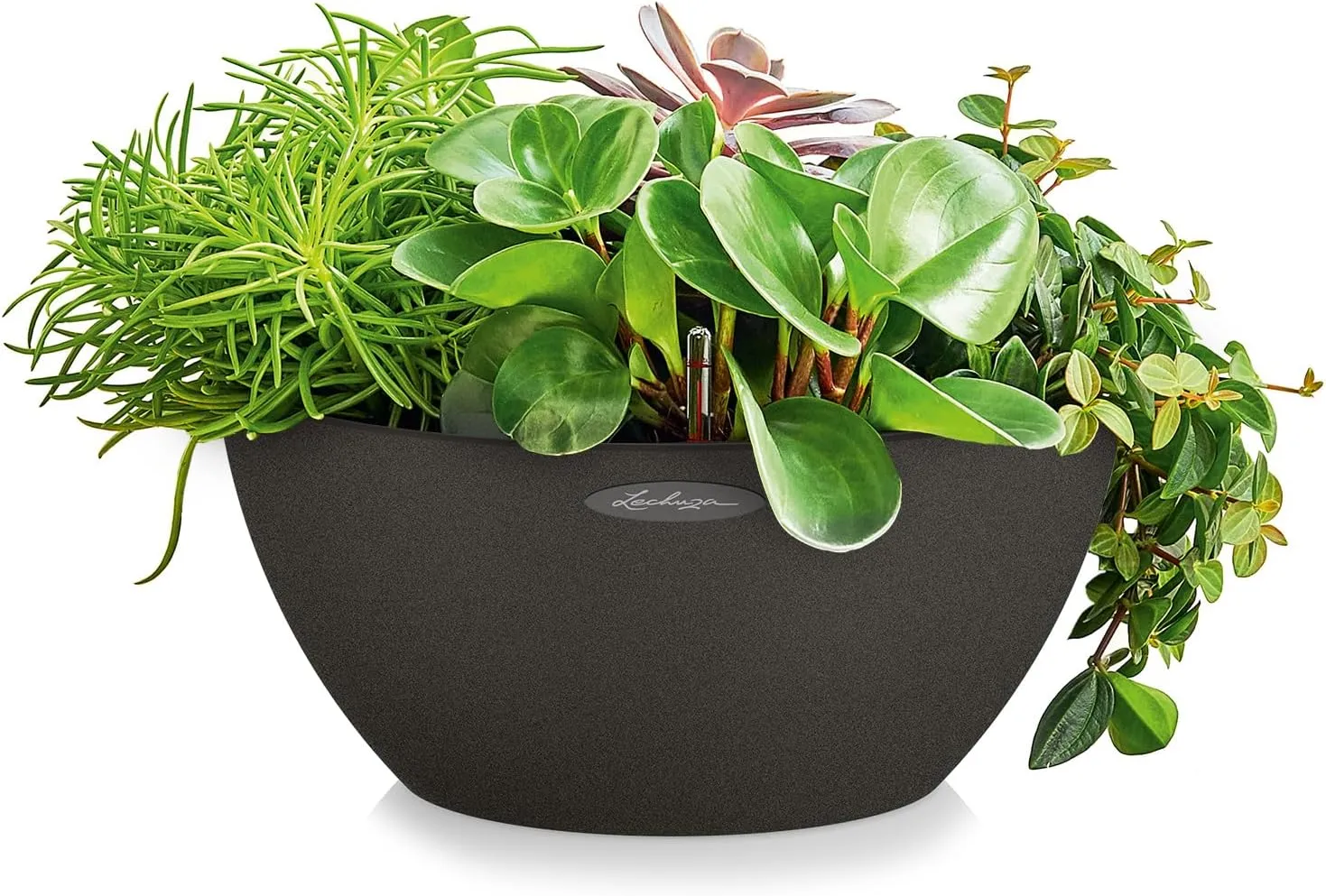 Lechuza Self Watering Plant Pot CUBETO Stone 30 Garden Flower Indoor and Outdoor Plastic Planter with Drainage Hole D30 H13 cm Graphite Black