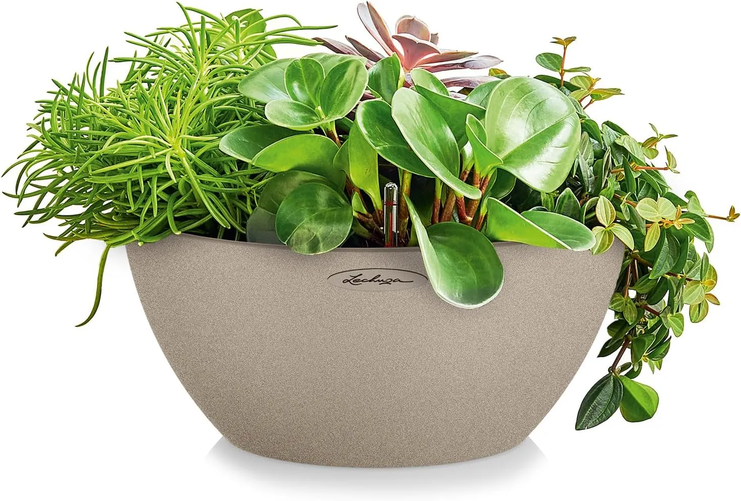 Lechuza Self Watering Plant Pot CUBETO Stone 30 Garden Flower Indoor Outdoor Table Plastic Planter with Drainage Hole D30 H13 cm Sand Beige