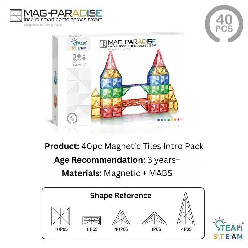 Magnetic Tiles and Marble Run Variety Packs