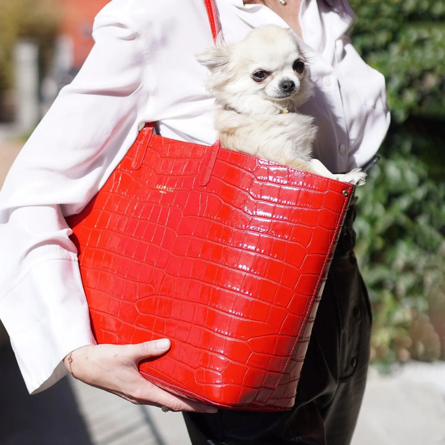 Maxima Tote Croco Bag
