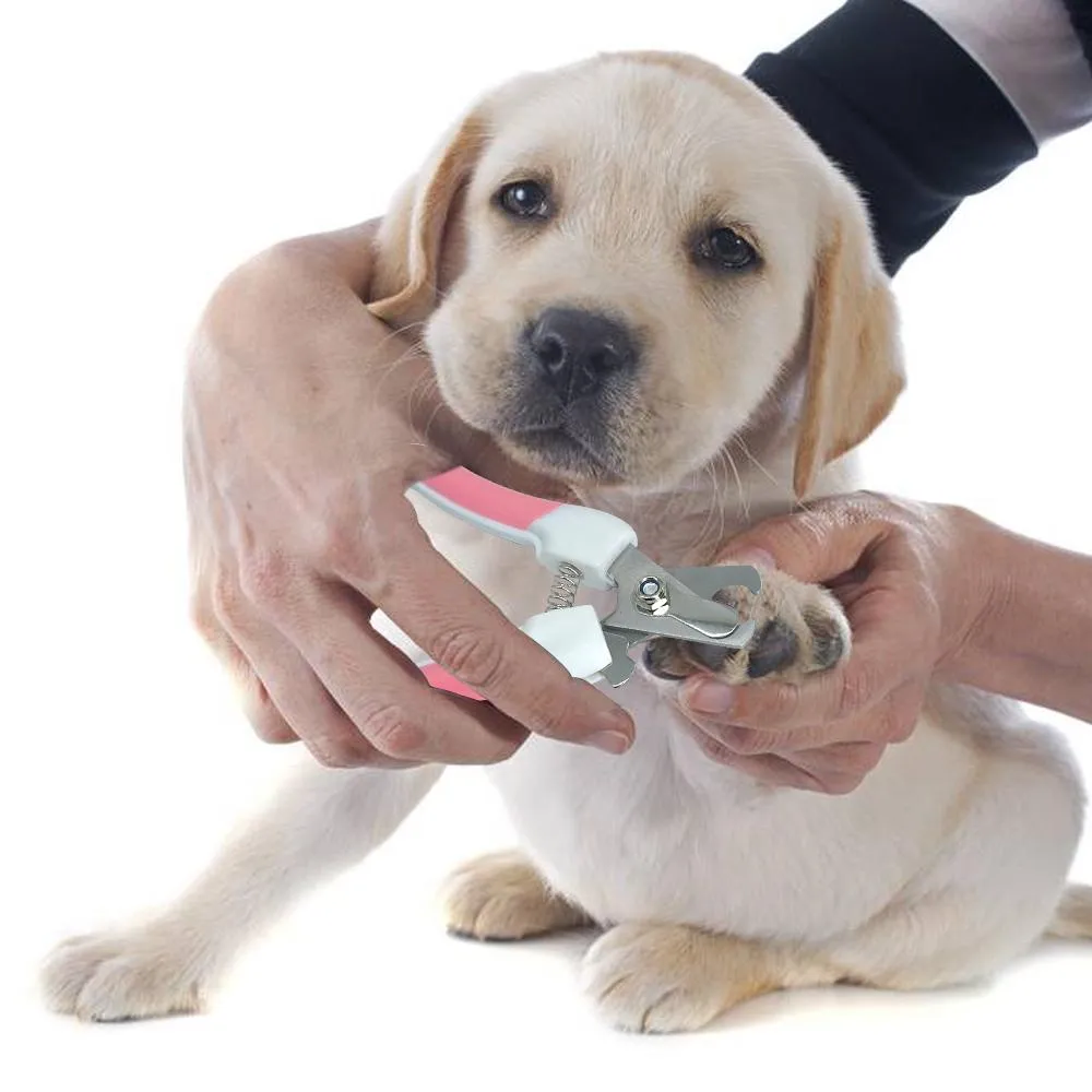 Pet Safety Nail Scissors For Pet Grooming on Sale