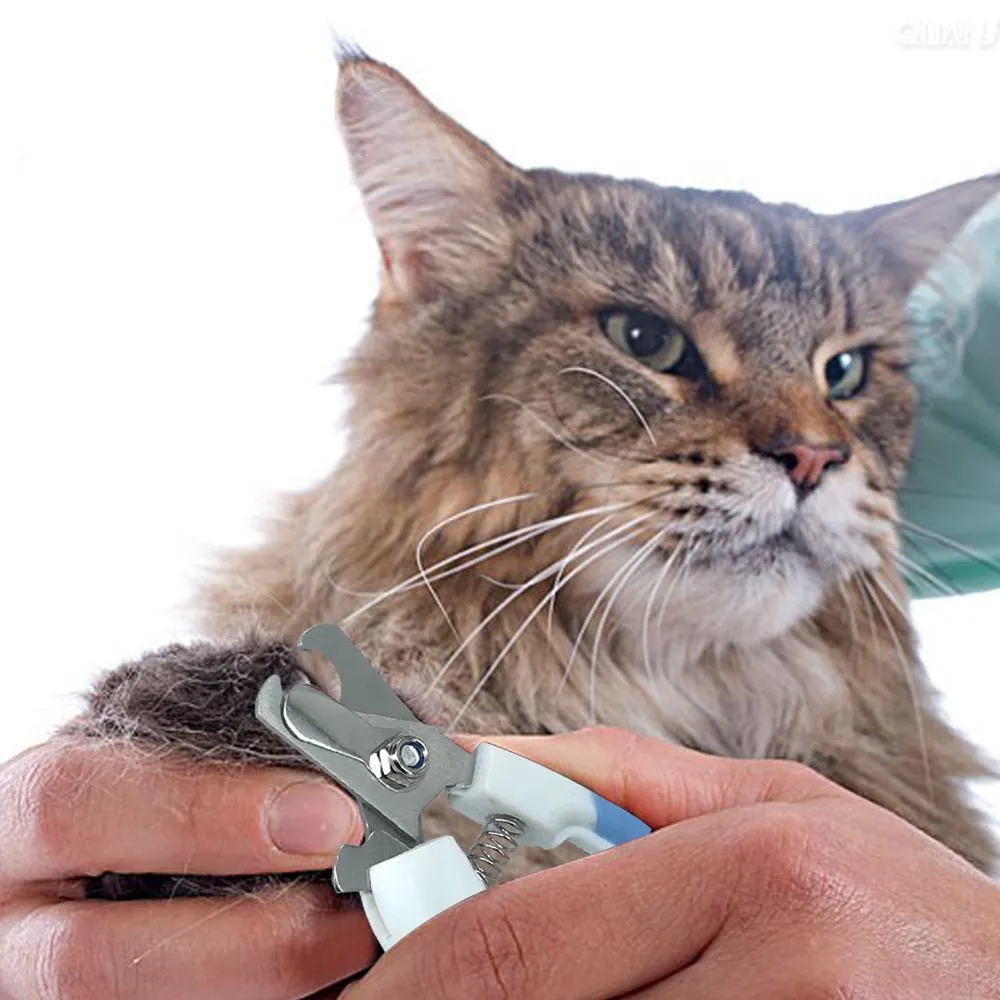Pet Safety Nail Scissors For Pet Grooming on Sale