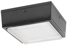 RAB Lighting 52W VANLED Cool LED Drop Lens Bronze Canopy Light - VANL