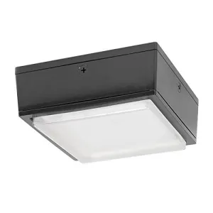 RAB Lighting VANLED40 Canopy Light, 40W LED Lamp, 39W, 120-277V, 0.6/0.14 Amp, 4356 Lumens, 100000 Hr, White