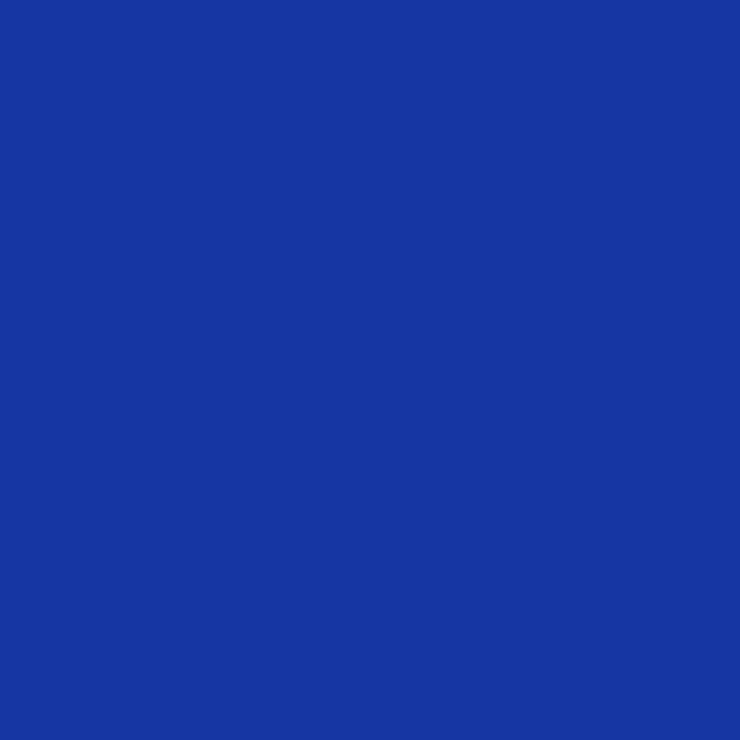 Sidewalls for 10x10 Pop Up Canopy, 210D Polyester Waterproof Canopy Sidewalls with UV Protection, Sunwall Only (Blue, 10x10 3PCS)