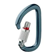 SL Polished AMâ€™D Petzl Carabiner Outstanding