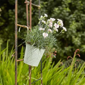 Smart Garden 6" / 15cm Fence & Balcony Metal Hanging Pot Fern Sage