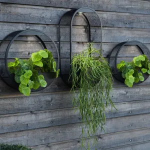 Taavita Solar Powered Wall Pot Light with Integrated Plant Pot