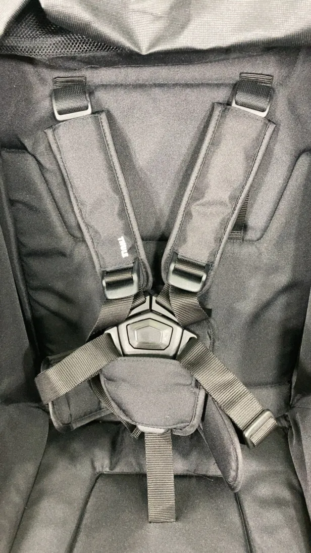 Thule Spring Stroller, 2024, Black, Midnight Black