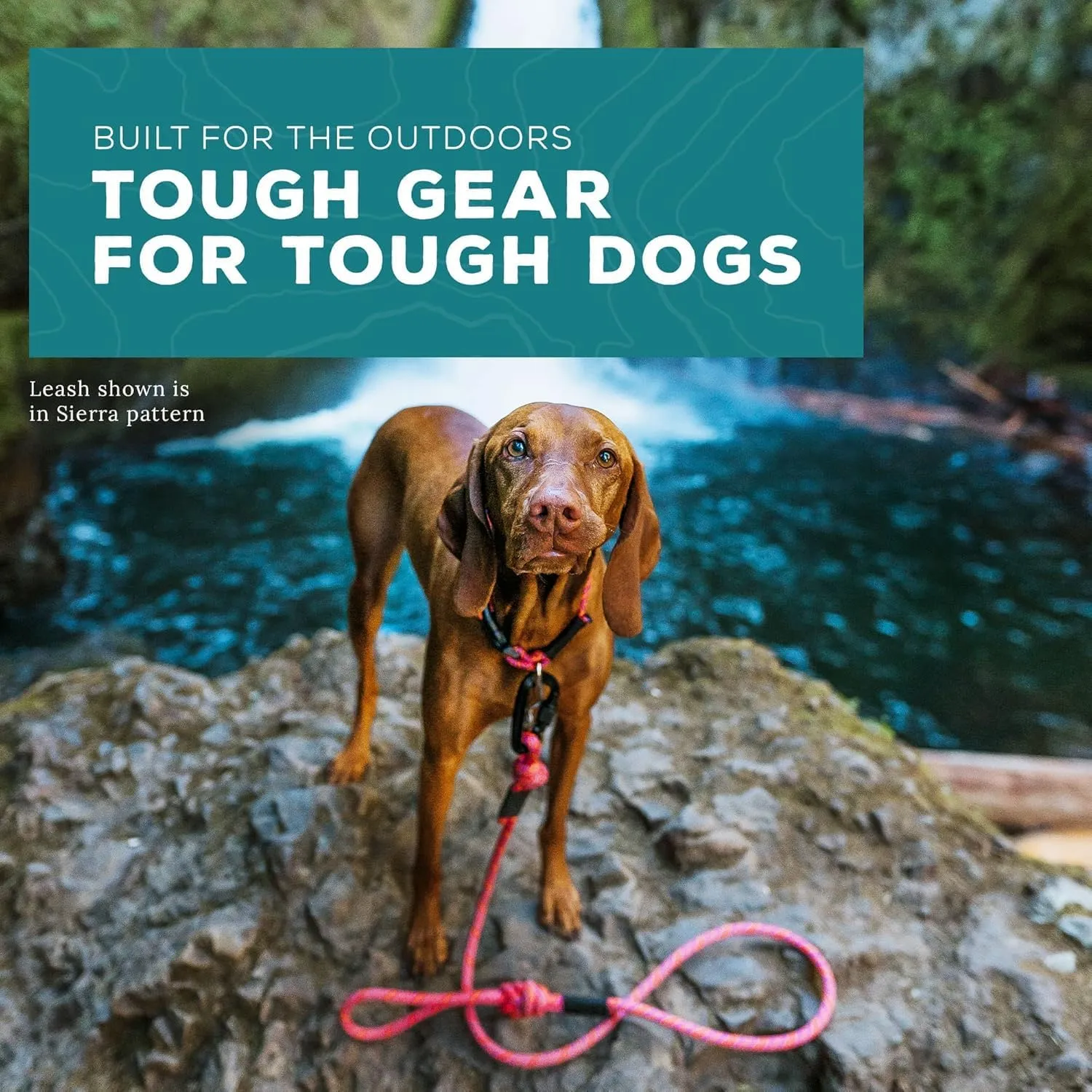 Wilderdog Climbing Rope Small Carabiner Dog Leash - Cascade - 5 ft